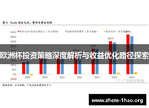 欧洲杯投资策略深度解析与收益优化路径探索