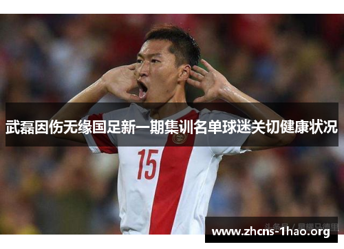 武磊因伤无缘国足新一期集训名单球迷关切健康状况